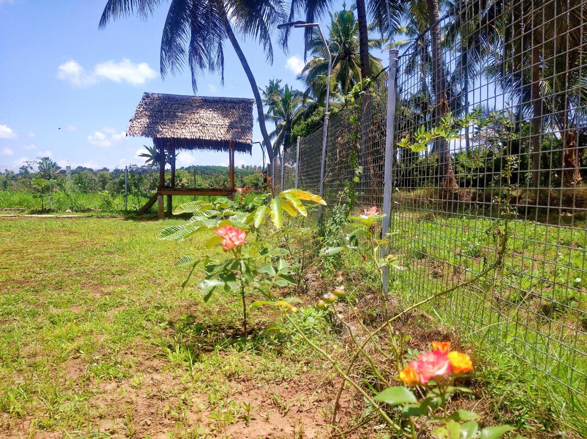 Wooden Kemiren Homestay Banyuwangi บันยูวังงี ภายนอก รูปภาพ