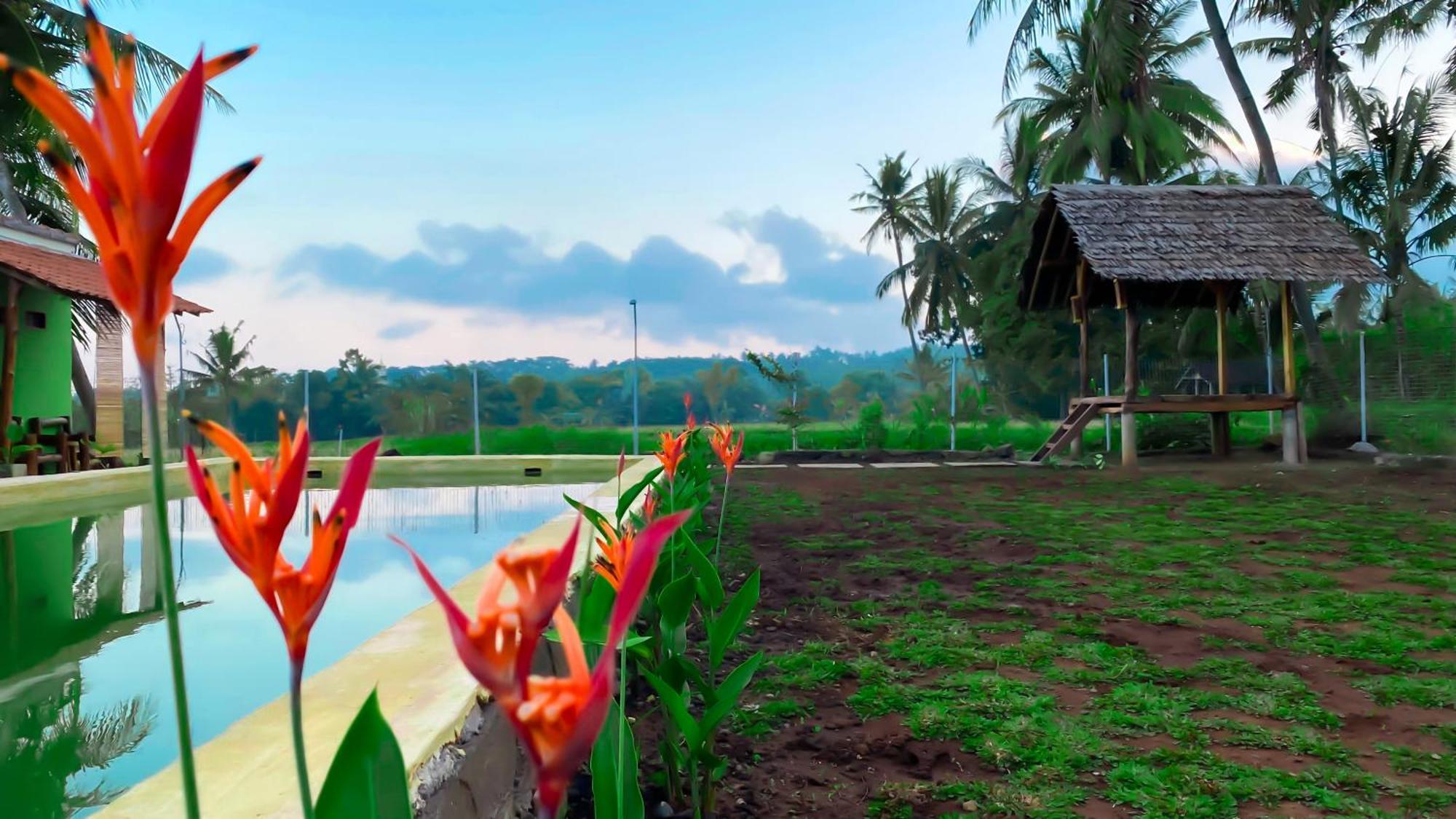 Wooden Kemiren Homestay Banyuwangi บันยูวังงี ภายนอก รูปภาพ