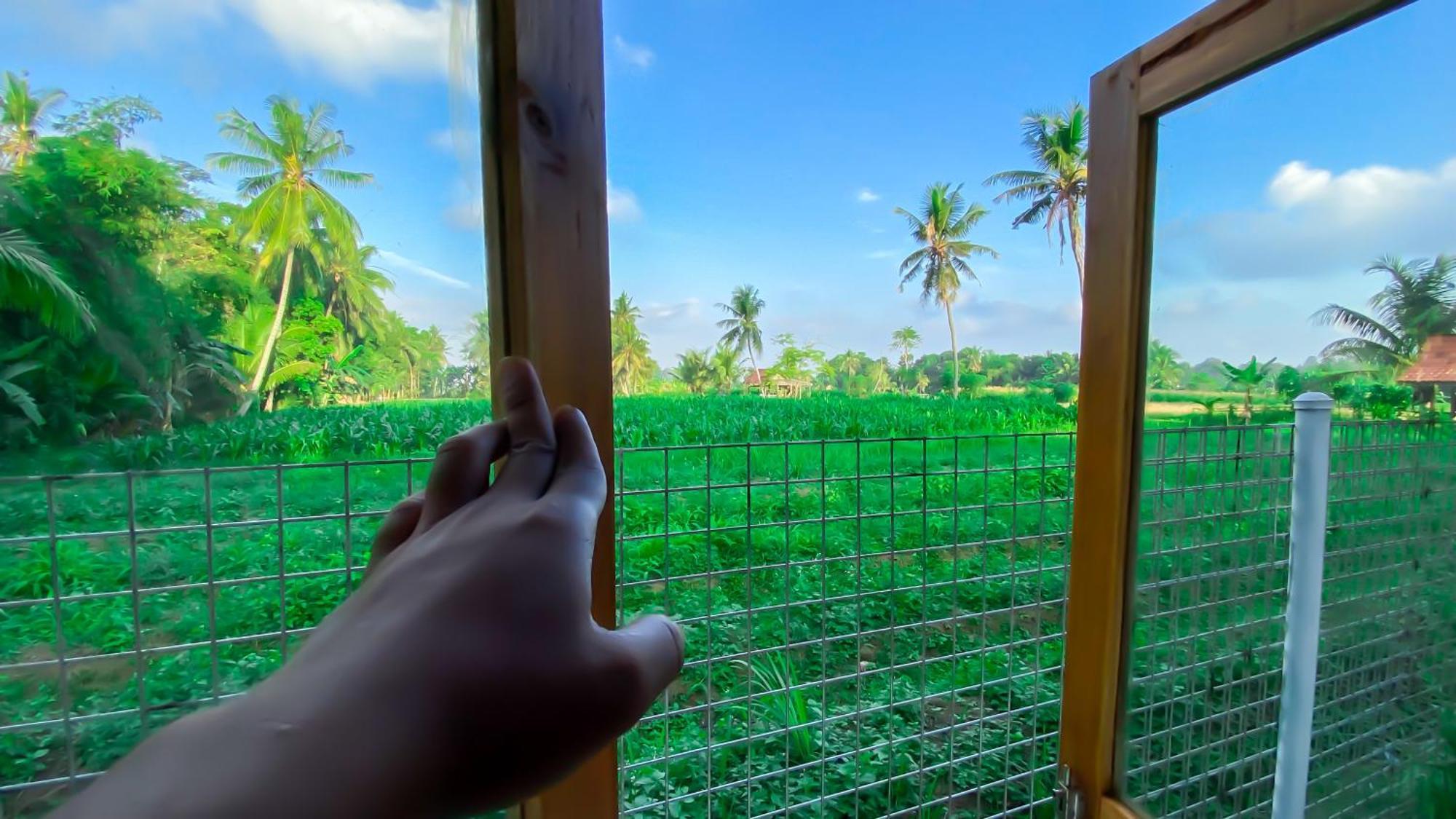 Wooden Kemiren Homestay Banyuwangi บันยูวังงี ภายนอก รูปภาพ